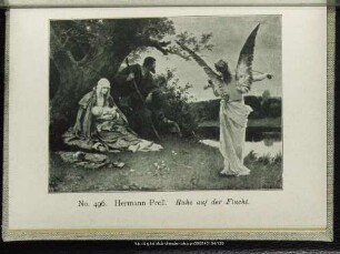 No. 496. Ruhe auf der Flucht