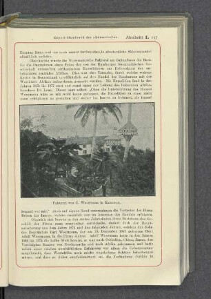 Faktorei von C. Woermann in Kamerun.