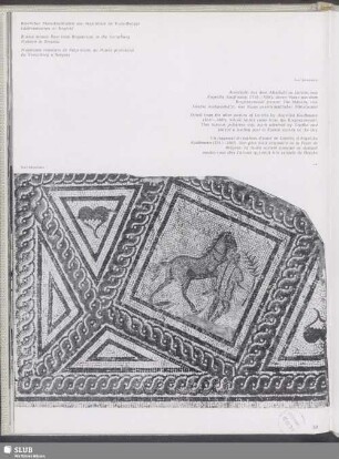 Römischer Mosaikfußboden aus Brigantium im Vorarlberger Landesmuseum zu Bregenz