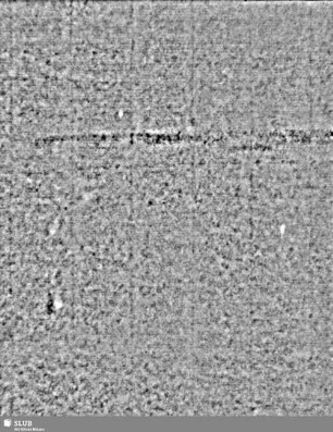 Lilienschild + IESV / LW = S.19/20