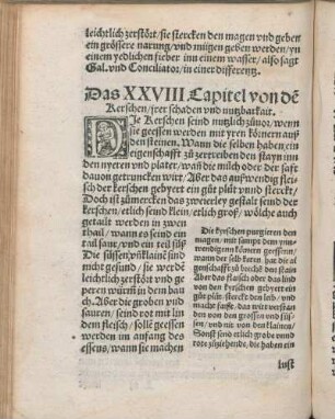 Das XXVIII Capitel von de Kerschen/ irer schaden vnd nutzbarkait.