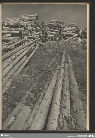 Holzstapel