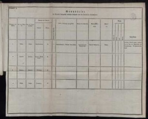 Formular 5. Grundliste der [...] Leibgarde von den sämmtlichen Dienstpferden