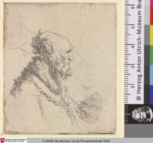 [Kahlköpfiger Mann mit kurzem Bart im Profil nach rechts; Bald Old Man with a Short Beard in Profile Right;Vieillard chauve à courte barbe]