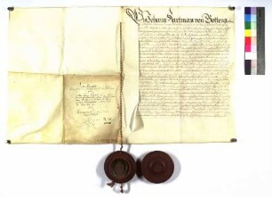 Bischof Johann Hartmann an alle Grafen Hohenlohe verleiht Buchenbach.
