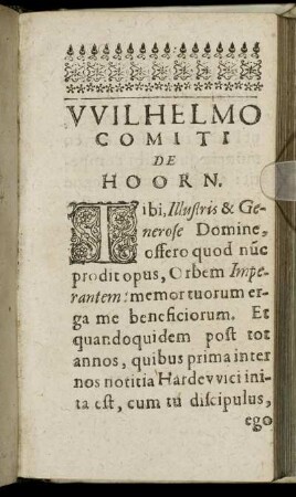 Wilhelmo Comiti De Hoorn