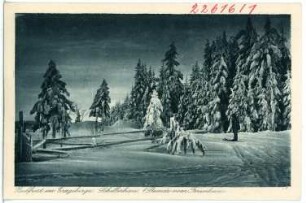Schellerhau. Rauhfrost im Erzgebirge