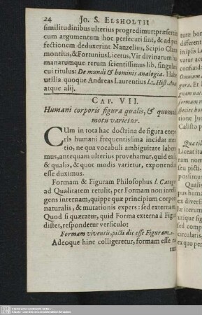 VII. Humani corporis figura qualis, et quomodo motu varietur