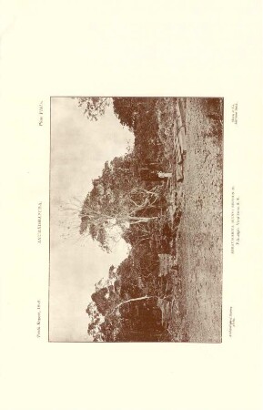 Plate VIII.A. Anurádhapura. Abhayagiriya ruins: Section II. Pilimagé: View from S. E.