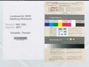 Entnazifizierung Theodor Schaefer, geb. 24.08.1919 (Finanzbeamter)