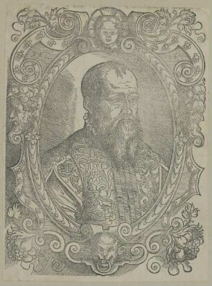 Bildnis des Papstes Marcellus II.