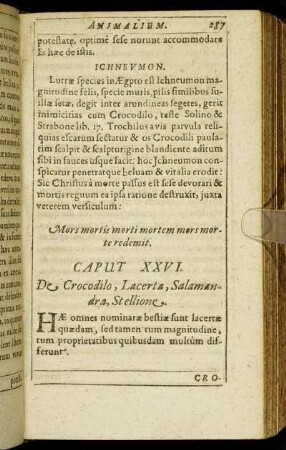 Caput XXVI. De Crocodilo, Lacerta, Salamandra, Stellione.