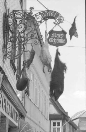 Michelstadt: Aushängeschild Ratsschenke, mit Fellen und Häuten