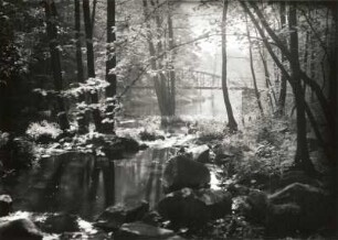 Oberlausitz. Mittleres Spreetal. Fußgängerbrücke im Vogelhain (Humboldthain) oberhalb der Weiten Bleiche. Blick von der Uferpromenade flussabwärts