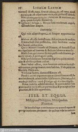 Iter Et Equus