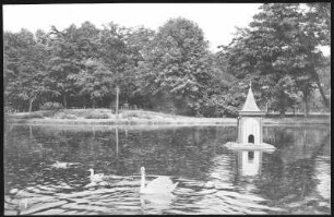 Bad Kösen. Schwanenteich in den Anlagen
