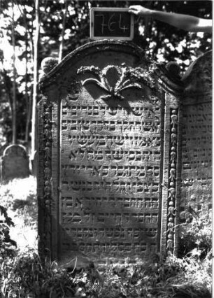 Grabstein 764 (Index: 100104723) Material: Sandstein Zustand: unten und im Bogenfeld verwittert, sonst gut erhalten Maße HxBxT: 153x86x15 cm Beschreibung: Stele, Konvexbogenabschluss mit Verdachung, auf den Einzügen Kugelausätze, seitliche Rahmen mit Blütenfries, im Bogenfeld gekreuzte Akanthus(?)blätter Symbolik: (Akanthus-?)Blätter, Blüten: Grabstein 764
