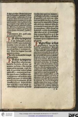 In illo tempore ingressus Iesus perambulabat...