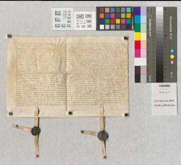 Vor Rynard Berk van Bauerhem, Statthalter und Lehnherr für Junker Albans von Curtenbach wegen seines Hofes Curtenbach bei Brunnsdal bekennt Junker Johann Buytz von Bencenraide u. s. Fr. Albertine von Curtenbach, daß er an den Prediger-Orden in Aachen gegeben hat "sund erff var eren ind frandhalft erffvar roggen der maisten von Herte op ondegend gelegen op der Bergh ole srent tymelft boynorbuttel (?) um off mge regnend am erffe Johan Hunen von Corpplmont gelegen". - 1482. Sint Simon und Juden dach der heyliger apostolen.