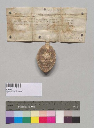 Befehl des Bischofs Albert [II.] von Passau an alle Mautner an der Donau und deren Stellvertreter, alle vom Kloster Metten flussauf- oder abwärts geführten Lebensmittel mautfrei zu lassen.;. S: Bischof Albert [II.] von Passau