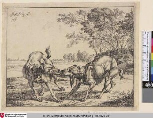 [La viande disputée, two dogs fighting over a piece of meat; Zwei Hunde kämpfen um ein Stück Fleisch]