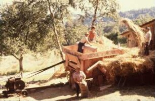 Fotografie: Verbrennungsmotor, Dieselmotor, Riemenscheibe, Dreschmaschine