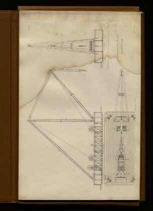 Schwimmender Krahn. Bl. 31.