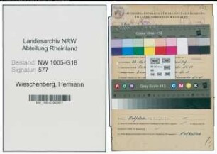 Entnazifizierung Hermann Wieschenberg , geb. 26.11.1913 (Schuhmacher)