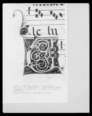 Antiphonar — Initiale V (Vitricem...), Folio 20 verso