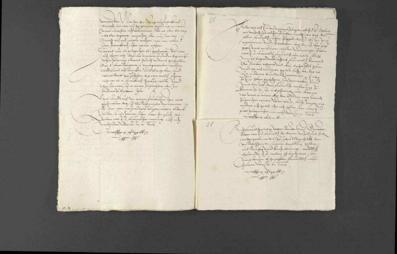Militärische Werbungen und Kriegsrüstungen Pfalzgraf Wolfgangs zugunsten Louis I. de Bourbon, Fürst von Condé, und Verwarnung des Pfalzgrafen durch Kaiser Ferdinand I. und Landgraf Philipp von Hessen.