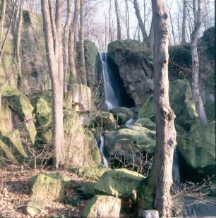 Langenhennersdorfer Bach. Wasserfall (9 m Höhenunterschied) an der Mündung in die Gottleuba. Ansicht von der Talseite