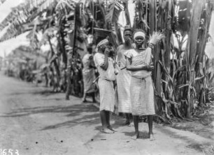 Frauen mit Sisal : Frauen nebem einem Sisal-Agaven Feld (Sisal-Agave (Agave sisalana))
