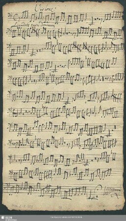 Violone.