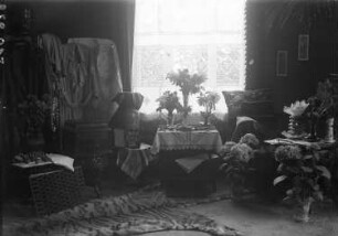 Kattowitz, Friedensstraße 2. Wohnung der Familie Knochenhauer. Wohnraum (Teilansicht) mit Gabentischen