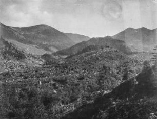 Rodung : Blick auf eine gerodete Waldfläche in der Bildmitte