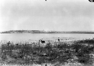 Belgrad mit Donau