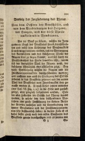 101-114, Verfolg der Zergliederung des Thorax