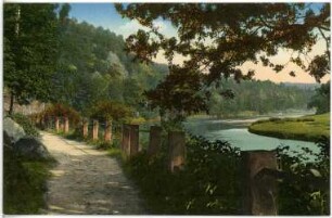 Lunzenau. Muldenpartie zw. Lunzenau u. Gör. Brücke