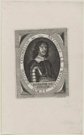 Bildnis des Antonivs â Warlvsel
