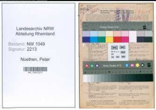 Entnazifizierung Peter Noethen , geb. 08.08.1889 (Steuerberater)