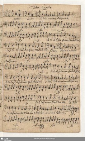 Tenor. Capella.