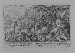 Dem Orpheus lauschen die Tiere : Passe, Crispyn de I (1564-1637): Dem Orpheus lauschen die Tiere. Illustration zu den "Metamorphosen" des Ovid. 1602. Kupferstich; 8 x 12,7 cm. Dresden: Kupferstich-Kabinett A 39812