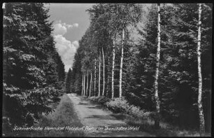 Hetzdorf. Waldweg