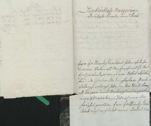 Johannes Lang an Karoline Luise von Baden (Lörrach)