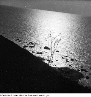 Ostsee; Nonnewitz, Steilküste Bakenberg