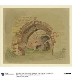 Schlossruine Diebow bei Thorn