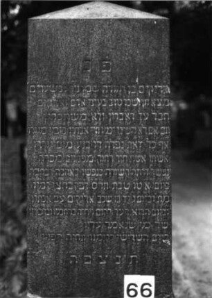 Grabstein 66 (Index: 100084981) Maße HxBxT: 180x57x27 cm Beschreibung: Obelisk, getreppter Sockel: Grabstein 66 (Nachholaufnahme)