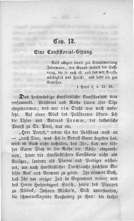 Cap. 12. Eine Consistorial-Sitzung