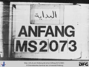 MF Mau 2073