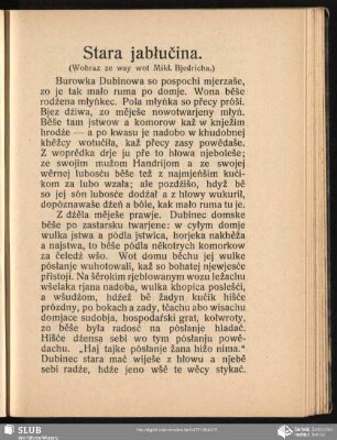Stara jabłučina